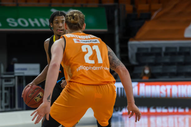 领域中的政 领域中的政